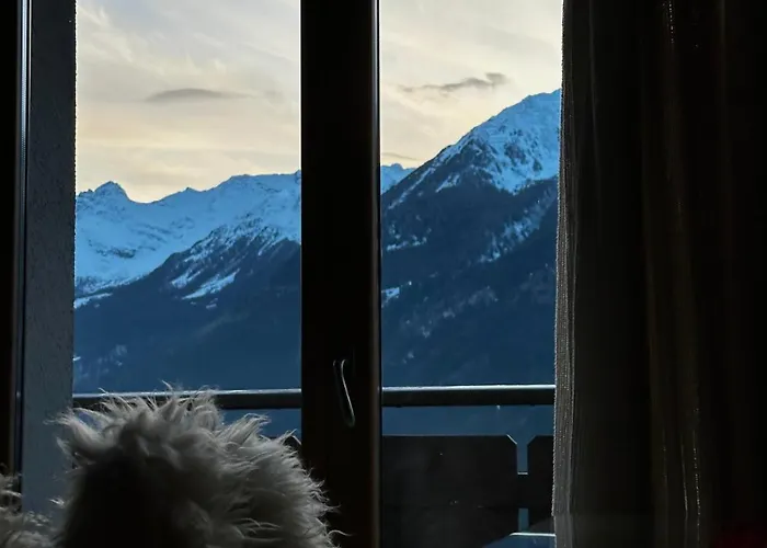 Appartamento Picchio